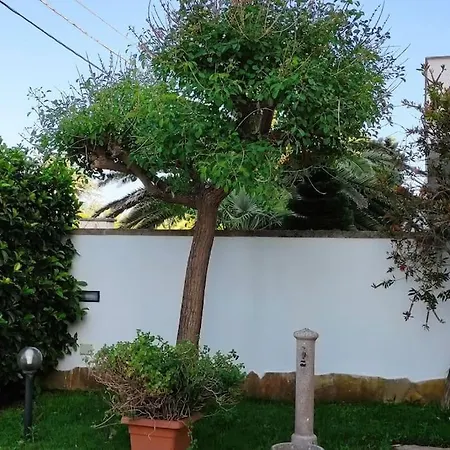 Carolina トッレ・スペッキア・ルッジェーリ