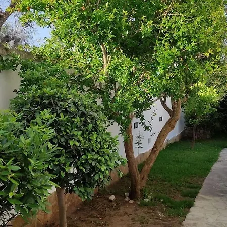 Carolina ヴィラ トッレ・スペッキア・ルッジェーリ