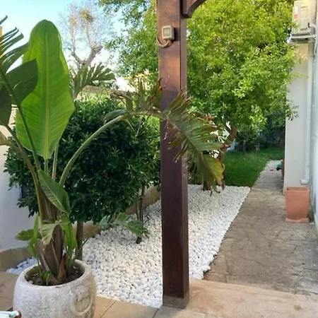 Carolina Torre Specchia Ruggeri
